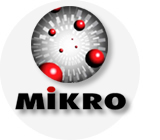 Mikro Services